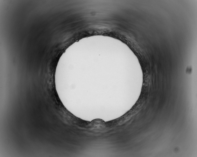 X0000103421109200810241028