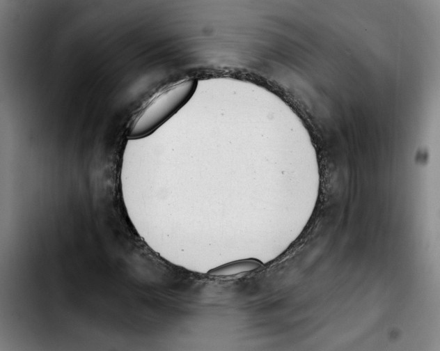 X0000103421110200810241028