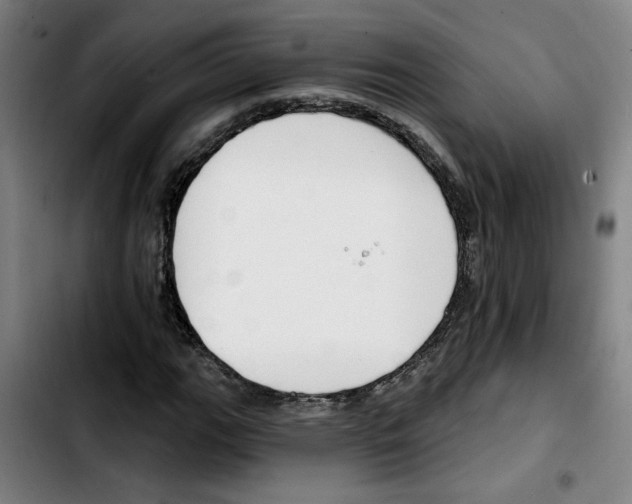X0000103421111200810241028