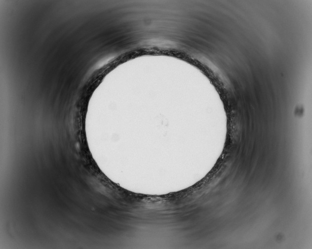 X0000103421112200810241028