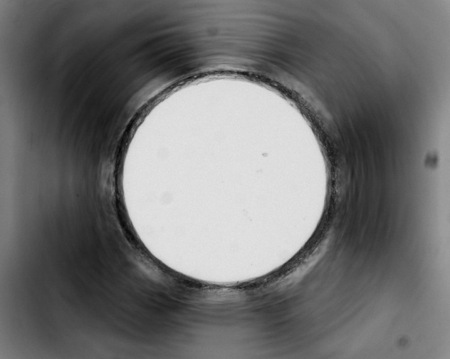 X0000103421113200810241028