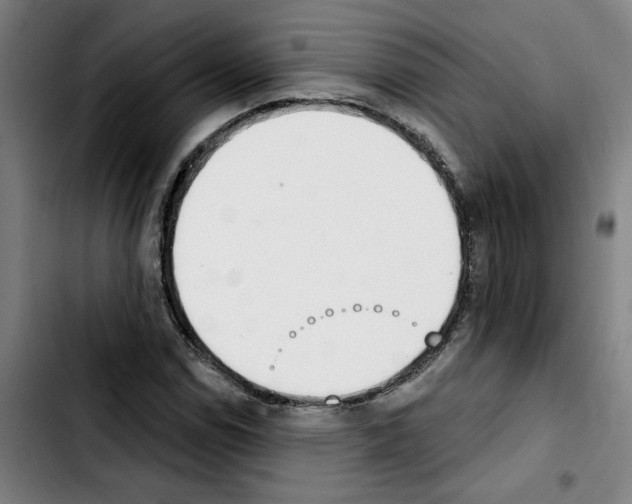 X0000103421114200810241028