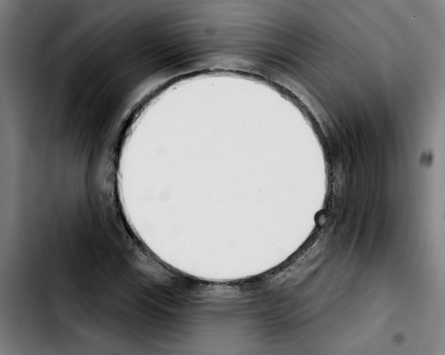 X0000103421115200810241028