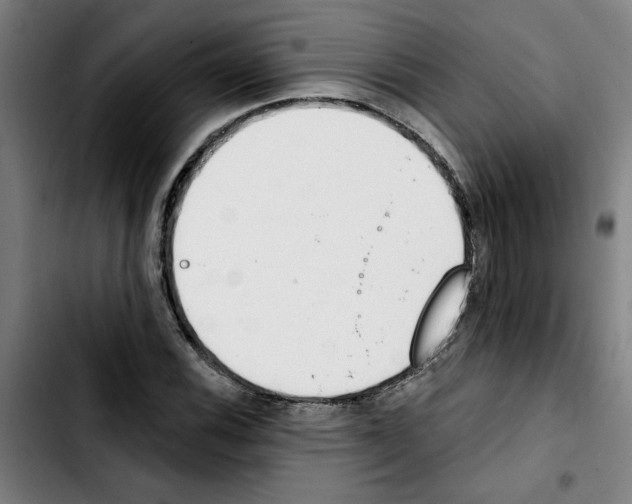X0000103421116200810241028