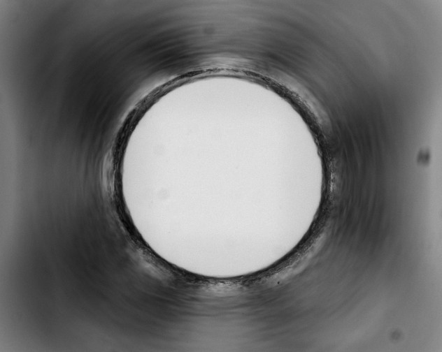 X0000103421117200810241028