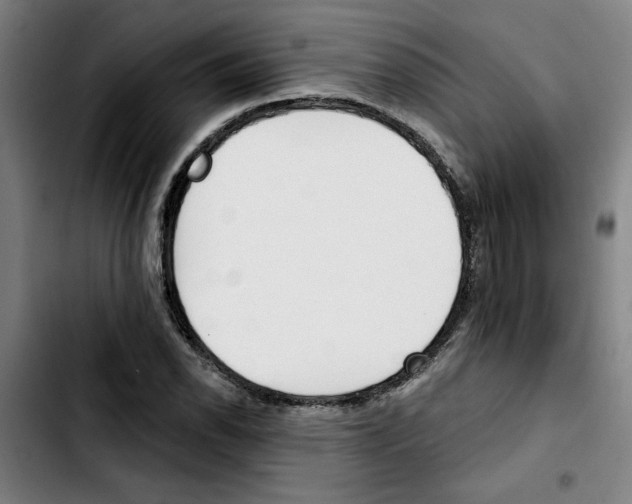 X0000103421118200810241028