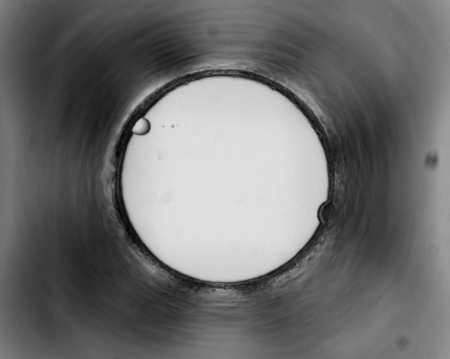 X0000103421119200810241028