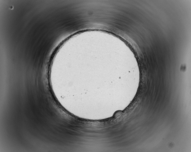 X0000103421120200810241028