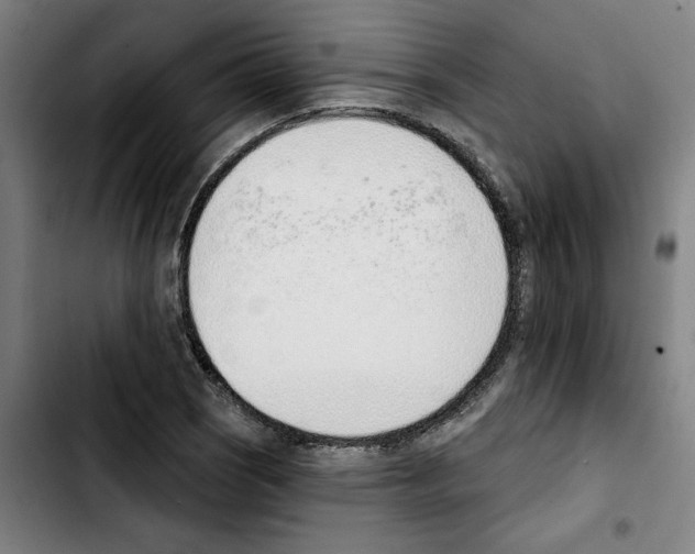 X0000103421121200810241028