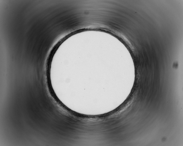 X0000103421122200810241028