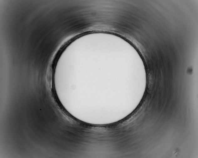 X0000103421123200810241028