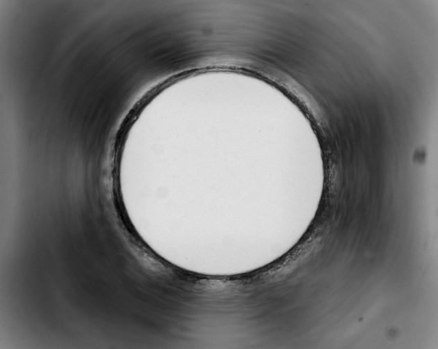X0000103421124200810241028