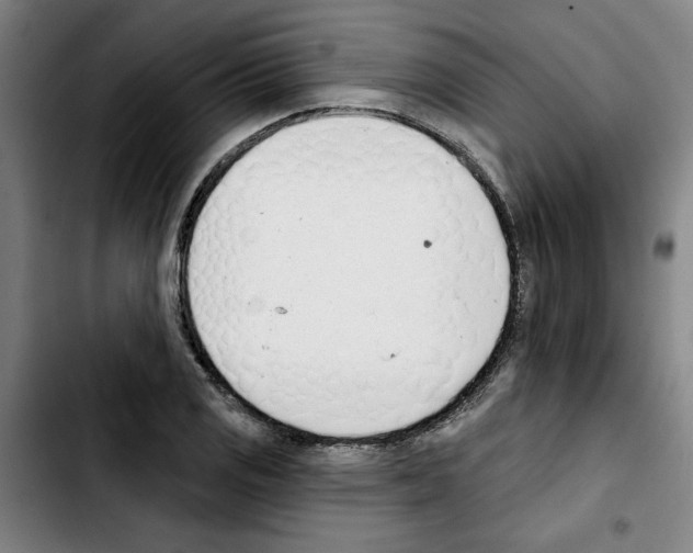 X0000103421125200810241028