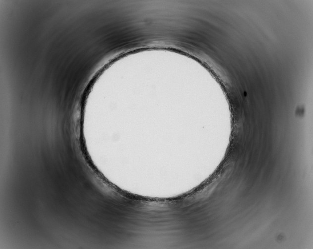X0000103421126200810241028