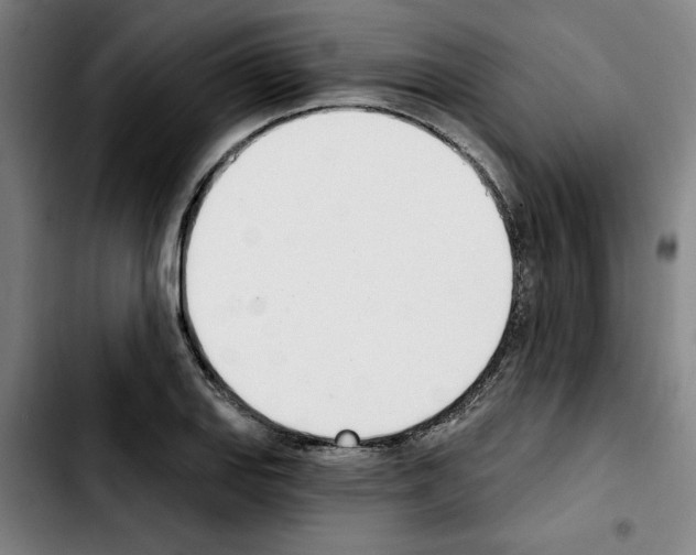 X0000103421127200810241028