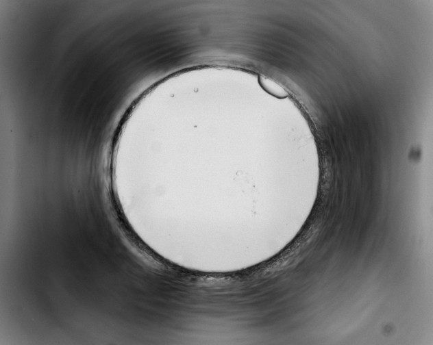 X0000103421128200810241028