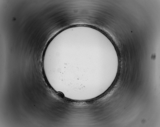 X0000103421129200810241028