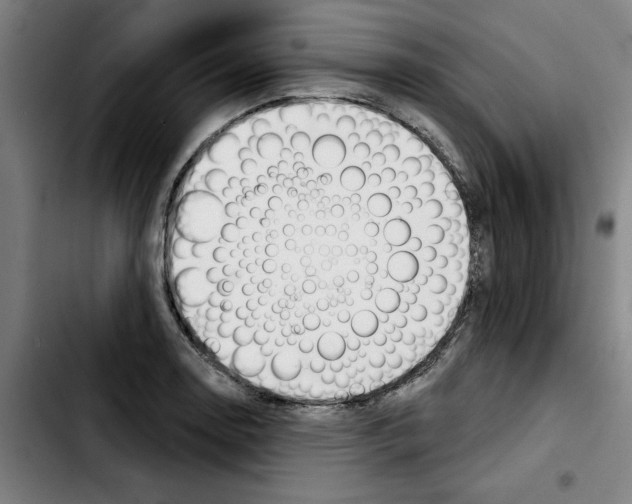 X0000103421130200810241028