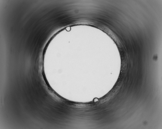 X0000103421132200810241028