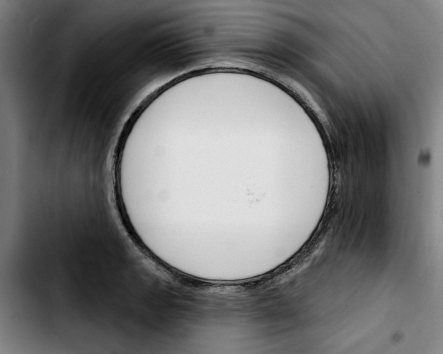 X0000103421133200810241028