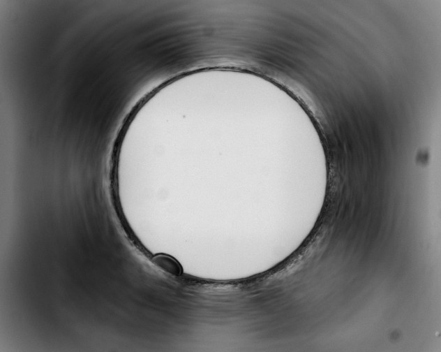 X0000103421135200810241028