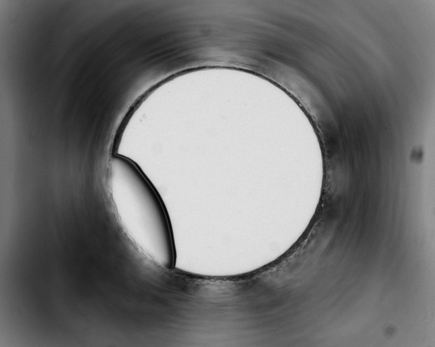 X0000103421136200810241028