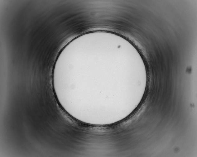 X0000103421137200810241028