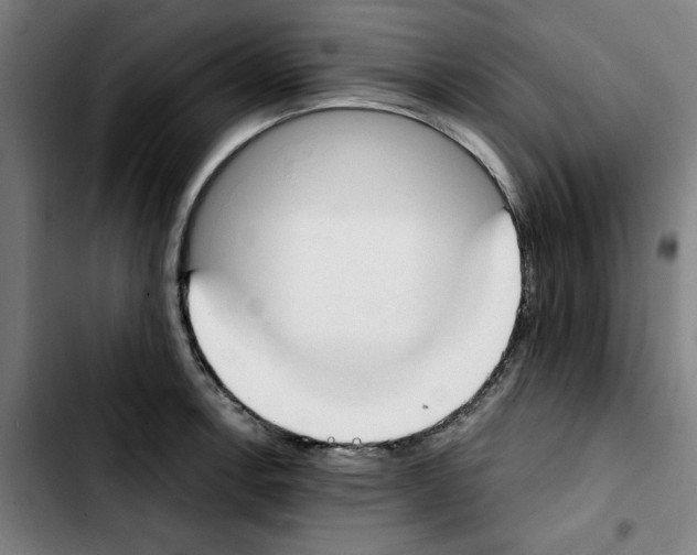 X0000103421138200810241028