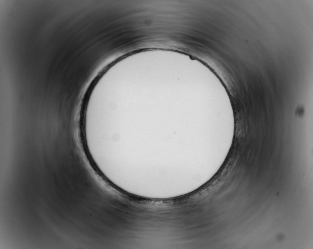 X0000103421139200810241028