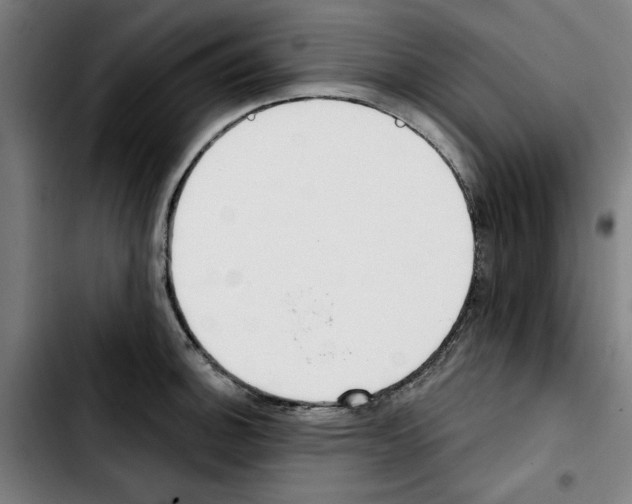 X0000103421140200810241028