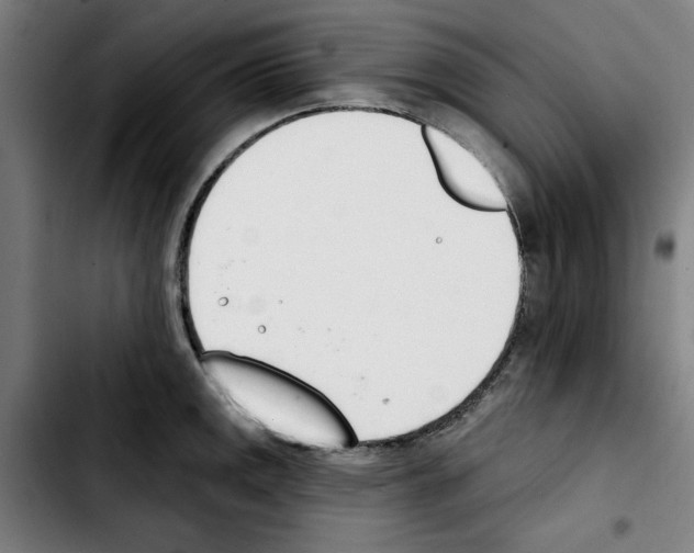 X0000103421141200810241028