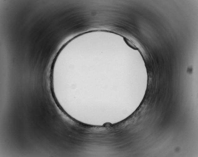 X0000103421143200810241028