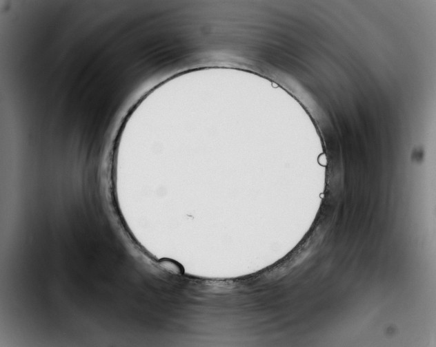 X0000103421144200810241028