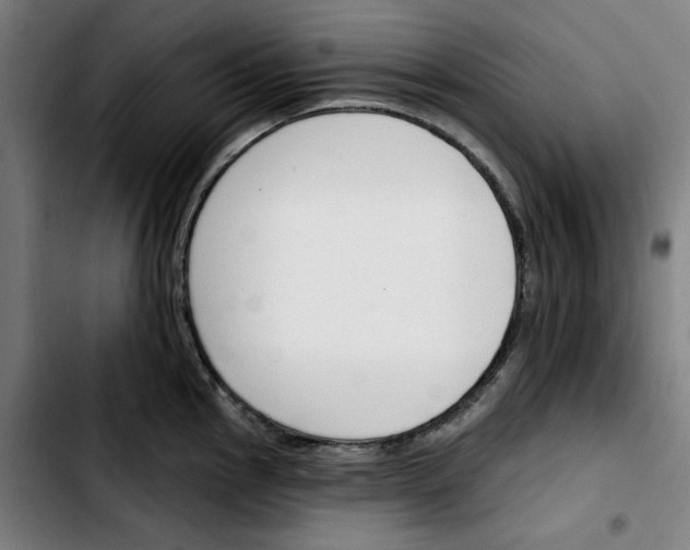 X0000103421145200810241028