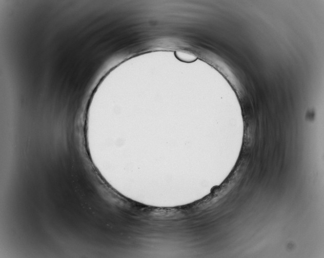X0000103421146200810241028