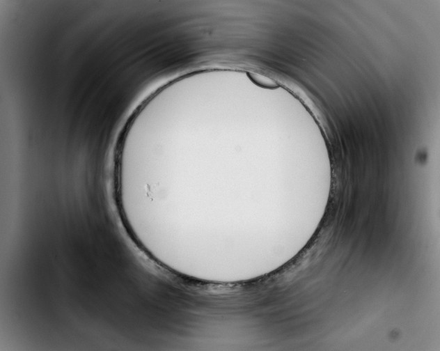 X0000103421147200810241028
