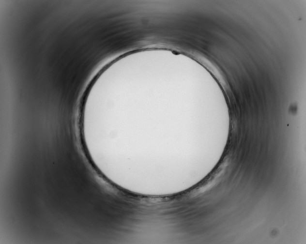 X0000103421149200810241028