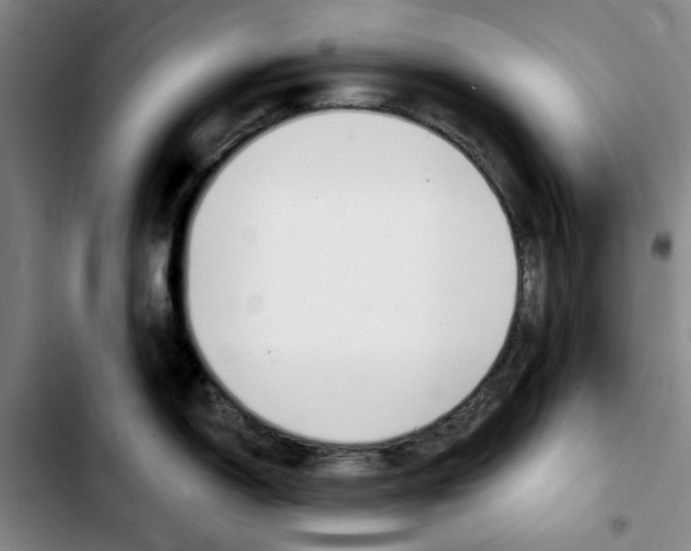 X0000103421150200810241028