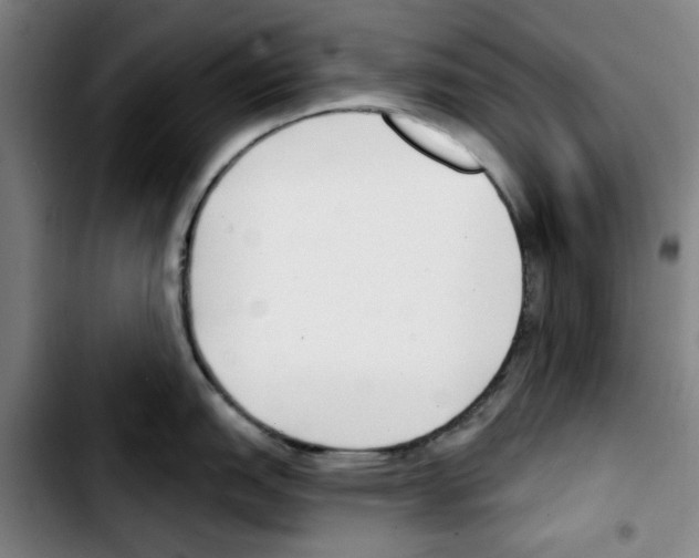 X0000103421151200810241028