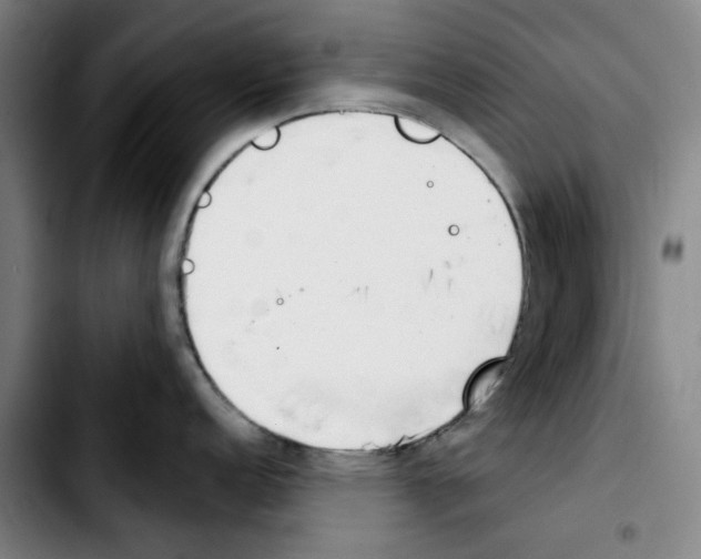 X0000103421152200810241028