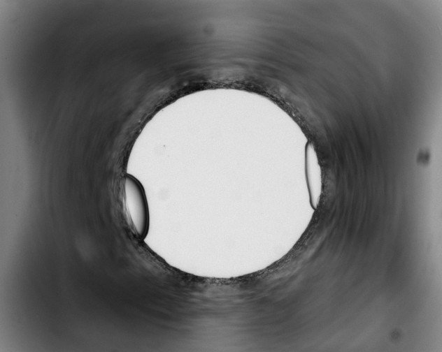 X0000103421153200810241027