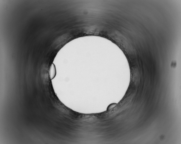 X0000103421154200810241027