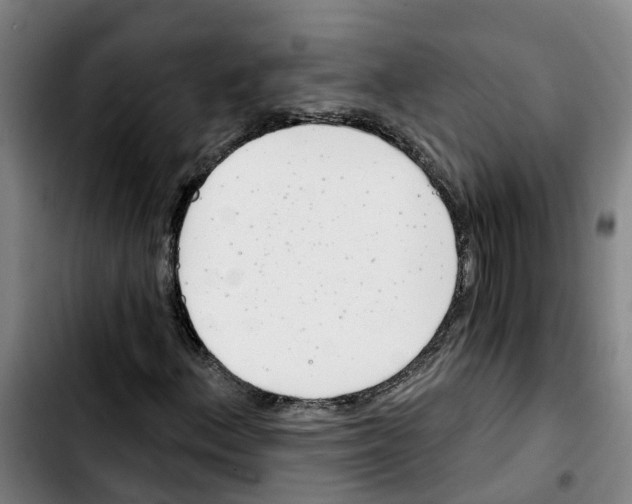X0000103421156200810241027