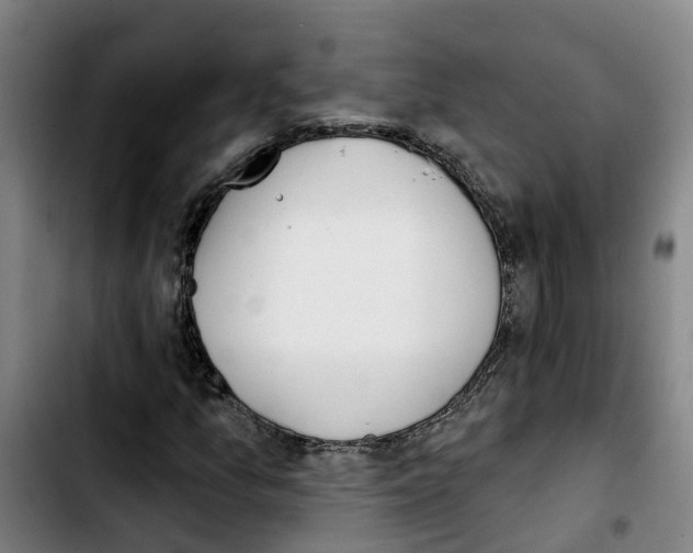 X0000103421157200810241027