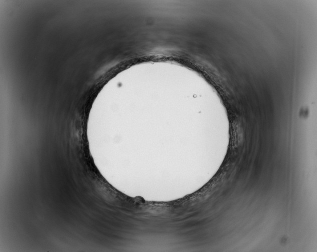 X0000103421158200810241027