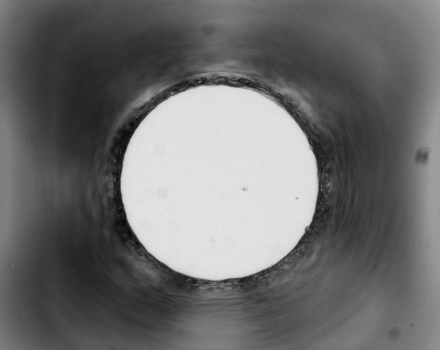 X0000103421159200810241027