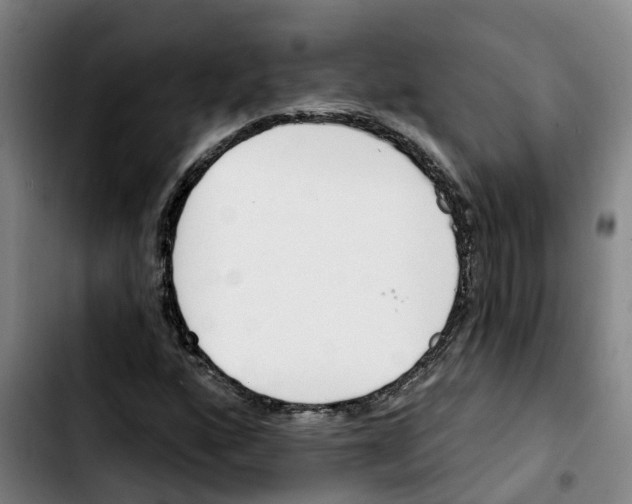 X0000103421160200810241027