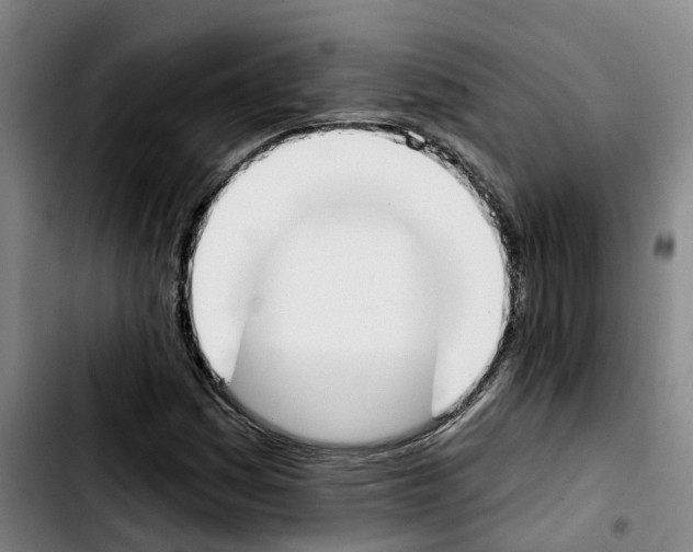X0000103421161200810241027
