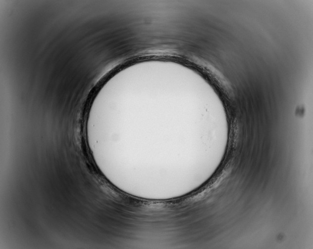 X0000103421162200810241027
