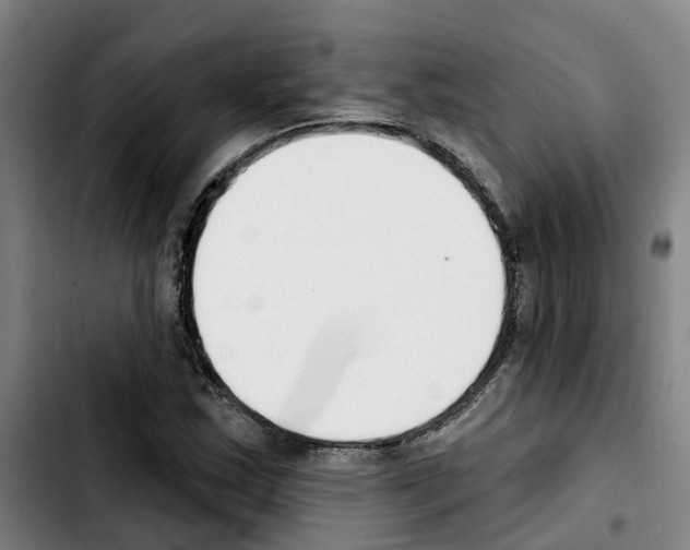 X0000103421163200810241027